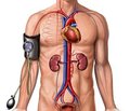 Гипертензивные кризы: диагностика и лечение. Консенсус Ассоциации кардиологов Украины и Украинской ассоциации по борьбе с инсультом (Часть 1)